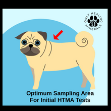 Load image into Gallery viewer, HTMA Hair Tissue Mineral Analysis Test Kit • Canine, Feline, & Equine