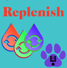 Load image into Gallery viewer, K-9 Replenish - Replenishment Mineral Blend