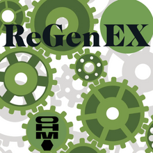 Load image into Gallery viewer, ReGenEX • Knots - Joints • Blocks •Topical Blend