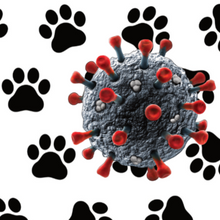 Load image into Gallery viewer, K-9 Viral Product Information