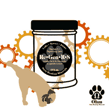 Load image into Gallery viewer, K-9 RegenR8 • Joint Regenerative Blend
