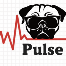 Load image into Gallery viewer, K-9 Pulse • Micronutrient Vibrational Blend   Was $38  Now $10