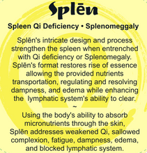 Load image into Gallery viewer, Splēn • Spleen Qi Deficiency Just.Add.Aloe Topical Blend