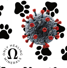 Load image into Gallery viewer, K-9 Viral Product Information