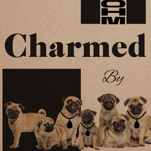 Load image into Gallery viewer, Charmed • Pop on Pendant