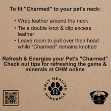 Load image into Gallery viewer, Charmed • Pop on Pendant