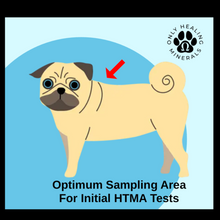 Load image into Gallery viewer, HTMA 🐾 Hair Tissue Mineral Analysis Test Kit • Canine, Feline, &amp; Equine