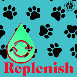 K-9 Replenish 🦴 Replenishment Mineral Blend