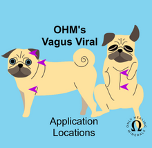 Load image into Gallery viewer, K-9 Vagus Viral • Vagal Protection Mineral Blend