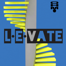 Load image into Gallery viewer, L∙E∙VATE - Surgery and Injury Advanced Care Topical Blend