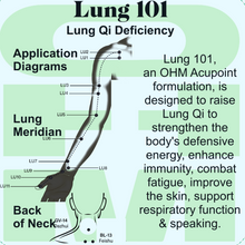 Load image into Gallery viewer, Lung 101 • Lung Qi Acupoint Minerals