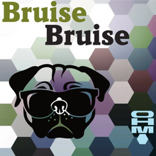 Load image into Gallery viewer, K-9 Bruise • Injury Mineral Blend