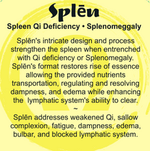 Load image into Gallery viewer, Splēn • Spleen Qi Deficiency Just.Add.Aloe Topical Blend