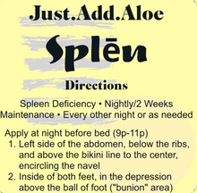Load image into Gallery viewer, Splēn • Spleen Qi Deficiency Just.Add.Aloe Topical Blend