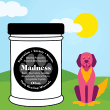 Load image into Gallery viewer, K-9 Madness • Anxiety Remedy