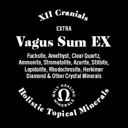 #2 Vagus Sum EX • XII Cranial • Topical Blend